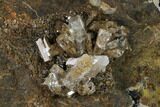 Transparent Columnar Calcite Crystal Cluster on Quartz - China #164011-3